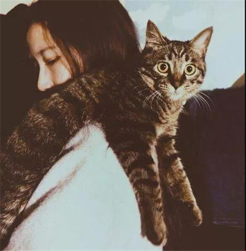 女孩说好的意思是啊？该如何回复她？