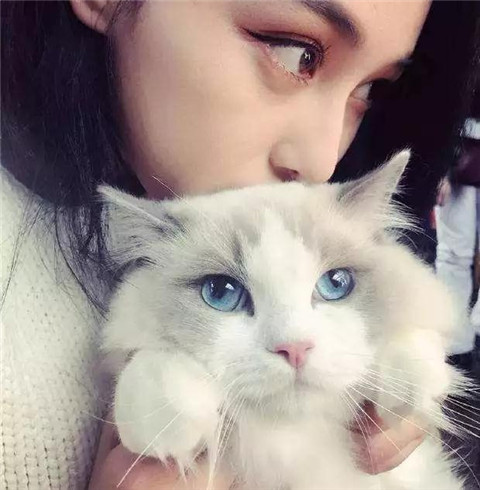 追的女孩忽然冷淡有什么缘由